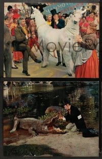 3k008 DOCTOR DOLITTLE 18 color 11x14 stills 1967 images of Rex Harrison who speaks with animals!
