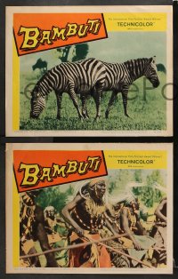 3k605 BAMBUTI 4 LCs 1959 untamed Africa, a fantastic fight for life never before filmed!