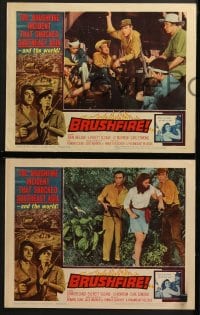 3k078 BRUSHFIRE 8 LCs 1962 John Ireland, Everett Sloane & Jo Morrow in Southeast Asia!