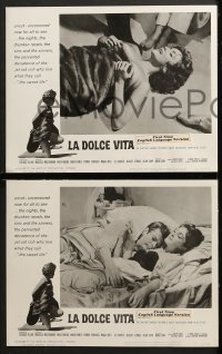 3k257 LA DOLCE VITA 8 LCs R1966 Federico Fellini, close up of sexy Anita Ekberg playing with kitten!