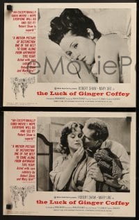 3k275 LUCK OF GINGER COFFEY 8 LCs 1964 great images of Robert Shaw & Mary Ure, Irvin Kirshner!