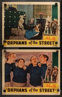 3k743 ORPHANS OF THE STREET 3 LCs 1938 great images of Tommy Ryan & Ace the Wonder Dog!