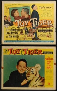3k457 TOY TIGER 8 LCs 1956 Jeff Chandler, Laraine Day, Tim Hovey has the world by the heart!