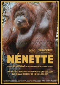 3r839 NENETTE 27x39 1sh 2010 cool image of orangutan, oldest star of the world's oldest zoo!