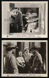 3x992 TREASURE OF THE SIERRA MADRE 2 8x10 stills R1953 Humphrey Bogart, Tim Holt & Walter Huston!