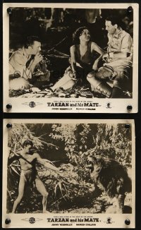 3x986 TARZAN & HIS MATE 2 English FOH LCs R1950s best image of Weissmuller and Maureen O'Sullivan!