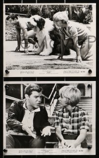 3x353 BILLIE 13 8x10 stills 1965 cool images of Patty Duke and Warren Berlinger, runners!