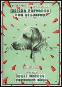 3y366 BENJI THE HUNTED Polish 27x38 1989 Skorwider art of classic Disney Border Terrier!