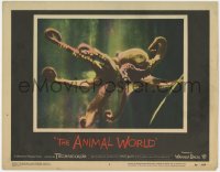 4a216 ANIMAL WORLD LC #4 1956 great close up of octopus underwater, Irwin Allen nature documentary!