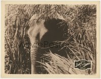 4a550 JAWS OF THE JUNGLE LC R1946 great image of elephant hiding in the thick brush!