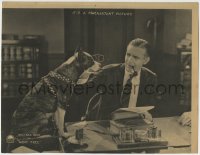 4a763 RENT FREE LC 1922 c/u of Wallace Reid giving glasses to cool dog sitting on his desk!