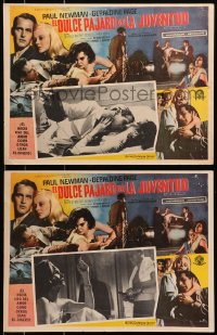 4b222 SWEET BIRD OF YOUTH 2 Mexican LCs 1962 Paul Newman, Geraldine Page, from Tennessee Williams!