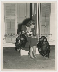 4d253 CONGO MAISIE deluxe 8x10 still 1940 Ann Sothern signs autographs for two chimpanzee co-stars!