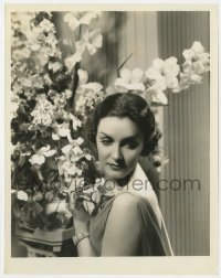 4d619 LONE WOLF RETURNS  8x10.25 still 1935 beautiful portrait of glamorous Gail Patrick!