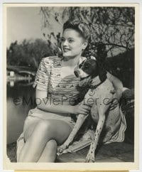 4d105 ALEXIS SMITH  8.25x10 still 1945 outdoor seated portrait with her cool dog by Bert Six!