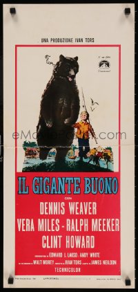 4f879 GENTLE GIANT Italian locandina 1968 Dennis Weaver, great full-length art of boy with big grizzly bear!