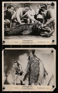 4m865 DESTINATION INNER SPACE 4 8x10 stills 1966 terror from the sea, Sheree North, Wende Wagner!