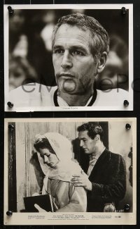 4m242 PAUL NEWMAN 28 from 7.5x9.25 to 8x10 stills 1960s-1980s portraits of the legendary star!
