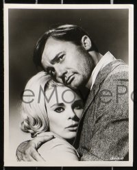 4m277 VENETIAN AFFAIR 22 8x10 stills 1967 spies Robert Vaughn & sexy Elke Sommer!