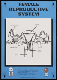 4r299 FEMALE REPRODUCTIVE SYSTEM 16x23 Zambian special poster 2000s educational anatomy poster!