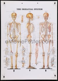 4r426 SKELETAL SYSTEM 20x28 Ethiopian special poster 1983 artwork by Peter Bachin!