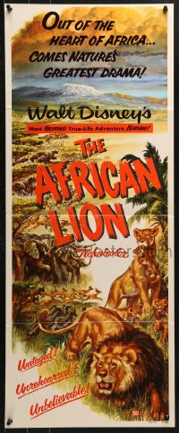 4y450 AFRICAN LION insert 1955 Walt Disney jungle safari documentary, cool animal artwork!
