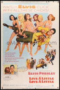 5c461 LIVE A LITTLE, LOVE A LITTLE 40x60 1968 Robert McGinnis art of Elvis Presley & sexy beach babes!