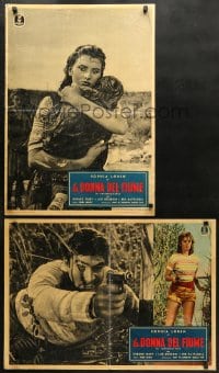 5f437 WOMAN OF THE RIVER group of 2 Italian 19x27 pbustas 1957 La Donna del fiume, Sophia Loren!