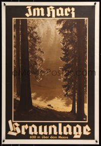 5g069 BRAUNLAGE 21x30 German travel poster 1920s wonderful image of a serene forest!