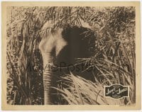 5m577 JAWS OF THE JUNGLE LC R1946 great image of elephant hiding in the thick brush!