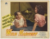 5m810 WILD HARVEST LC #5 1947 Alan Ladd in tanktop & sexy Dorothy Lamour on bed in his tent!