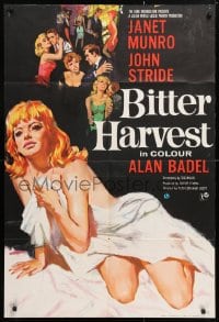5r121 BITTER HARVEST English 1sh 1963 art of sexy party girl Janet Munro, rare country of origin!
