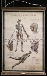 6a001 SHAPE OF WATER 18x27 special poster 2017 anatomy chart of the Amphibian Man!