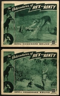 6c898 ADVENTURES OF REX & RINTY 2 chapter 4 LCs 1935 serial about a horse and German Shepherd dog!