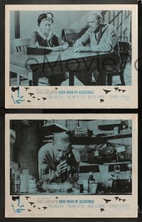 6c823 BIRDMAN OF ALCATRAZ 3 LCs 1962 John Frankenheimer, Burt Lancaster working in prison cell lab!