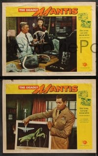6c672 DEADLY MANTIS 6 LCs 1957 Craig Stevens, William Hopper, Alix Talton, Universal sci-fi horror!