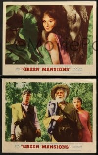6c849 GREEN MANSIONS 3 LCs 1959 Audrey Hepburn, Anthony Perkins & Lee J. Cobb!