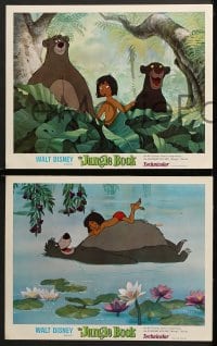 6c312 JUNGLE BOOK 8 LCs 1967 Walt Disney cartoon classic, close up of Mowgli, Baloo & Bagheera!