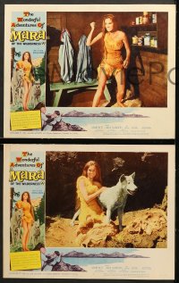 6c369 MARA OF THE WILDERNESS 8 LCs 1965 sexy wolf-girl Lori Saunders is untamed & untouched!
