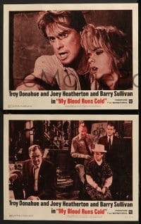 6c394 MY BLOOD RUNS COLD 8 LCs 1965 Troy Donahue, Joey Heatherton, is reincarnation possible?