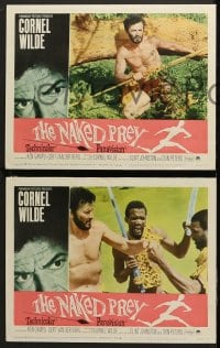 6c403 NAKED PREY 8 LCs 1965 Cornel Wilde stripped and weaponless in Africa running from killers!