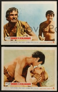 6c475 SANDS OF THE KALAHARI 8 LCs 1965 the strangest adventure the eyes of man have ever seen!