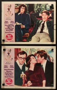 6c592 WHAT'S NEW PUSSYCAT 8 LCs 1965 Woody Allen, Peter O'Toole, Peter Sellers, Capucine, Andress!