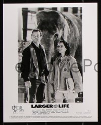 6d871 LARGER THAN LIFE 4 8x10 stills 1996 Bill Murray, McConaughey, Adler, Garofalo & elephant!