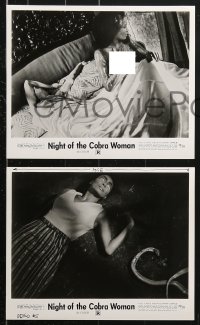 6d806 NIGHT OF THE COBRA WOMAN 5 8x10 stills 1972 only the snake could satisfy her unearthly desires!