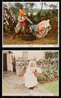 6d177 TALES OF BEATRIX POTTER 8 8x10 mini LCs 1971 Peter Rabbit, English ballet dancing fantasy!