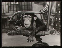 6d829 TOBY TYLER 5 7x9.25 stills 1960 Walt Disney, Kevin Corcoran, Mister Stubbs the chimpanzee!