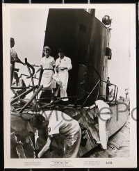 6d624 TORPEDO BAY 8 8x10 stills 1964 James Mason, Lilli Palmer, world's most desperate undersea exploit!