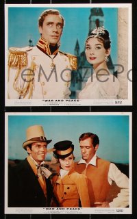 6d204 WAR & PEACE 5 color 8x10 stills 1956 Audrey Hepburn, Henry Fonda, Mel Ferrer, Leo Tolstoy!