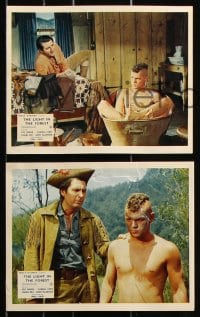 6d052 LIGHT IN THE FOREST 8 color English FOH LCs 1958 Disney, James MacArthur, Wendell Corey!